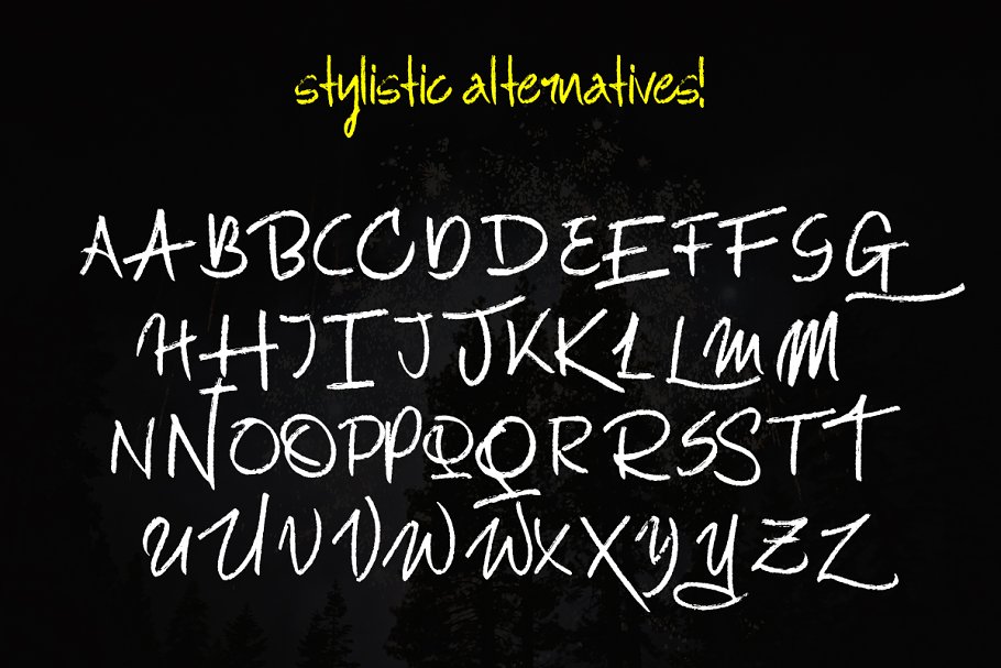 粗犷、富有创造性的英文手写字体 RockOut! Script + Bonus Font插图(3)