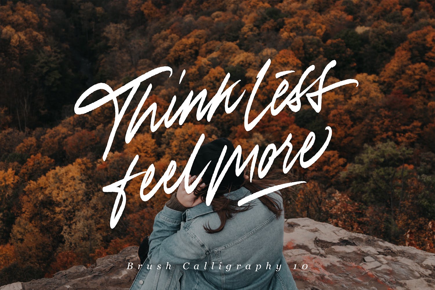 Procreate应用艺术书法字体笔刷合集插图(13)