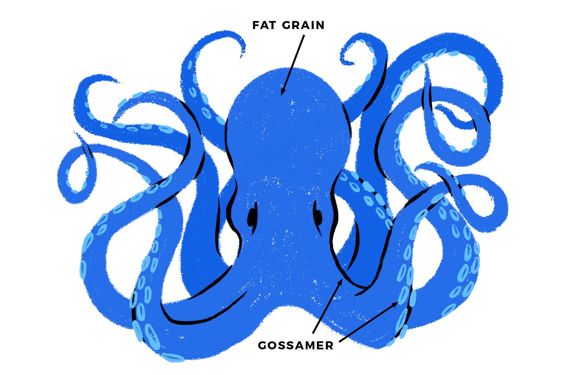 彩色粉笔蜡笔画Procreate专用笔刷 Texturrific Pastels for Procreate插图(3)