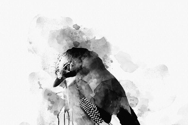 中国水墨风效果一键生成PS动作 Ink Art Photoshop Action插图(15)