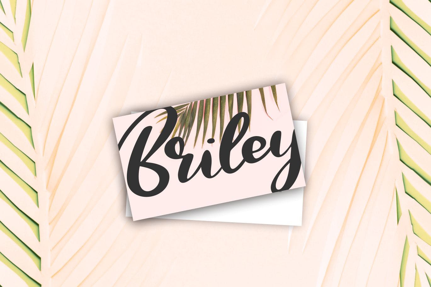 极简主义排版设计风格英文书法字体素材库精选 Qors | Minimalism Script Font插图(1)