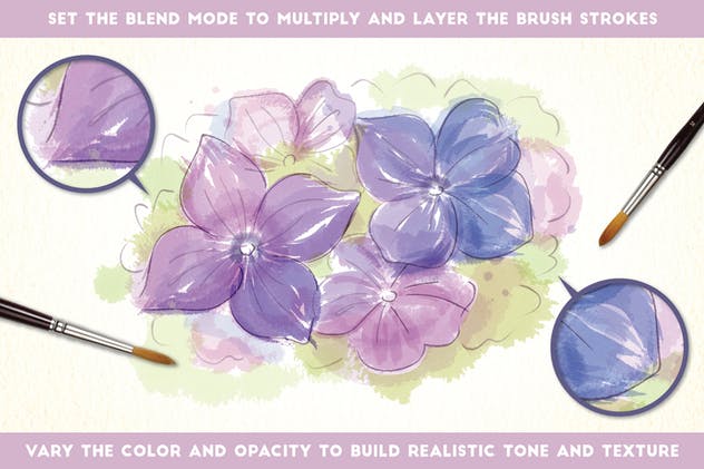 55个逼真水彩绘画AI笔刷 Watercolor Brushes插图(2)