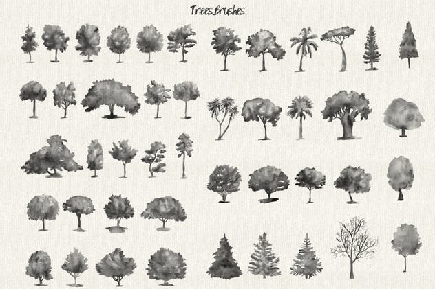 水彩花卉PS印章画笔笔刷 Floral Watercolor PS Stamp Brushes插图(5)