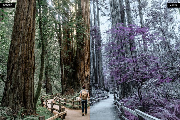 一款红外线效果的照片调色PS动作 Infrared IR Photoshop Actions插图(1)