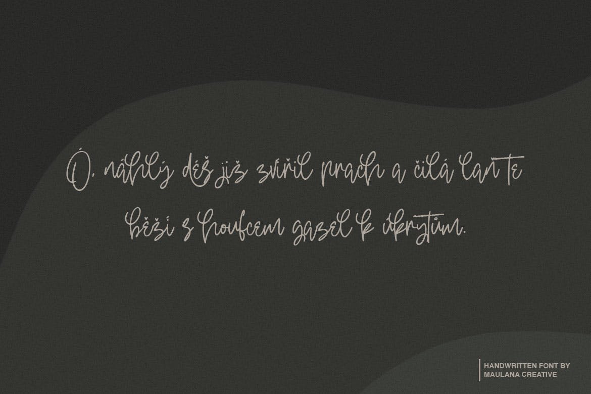 钢笔签名风格英文手写字体素材库精选 Oterdin – Handwritten Font插图(7)