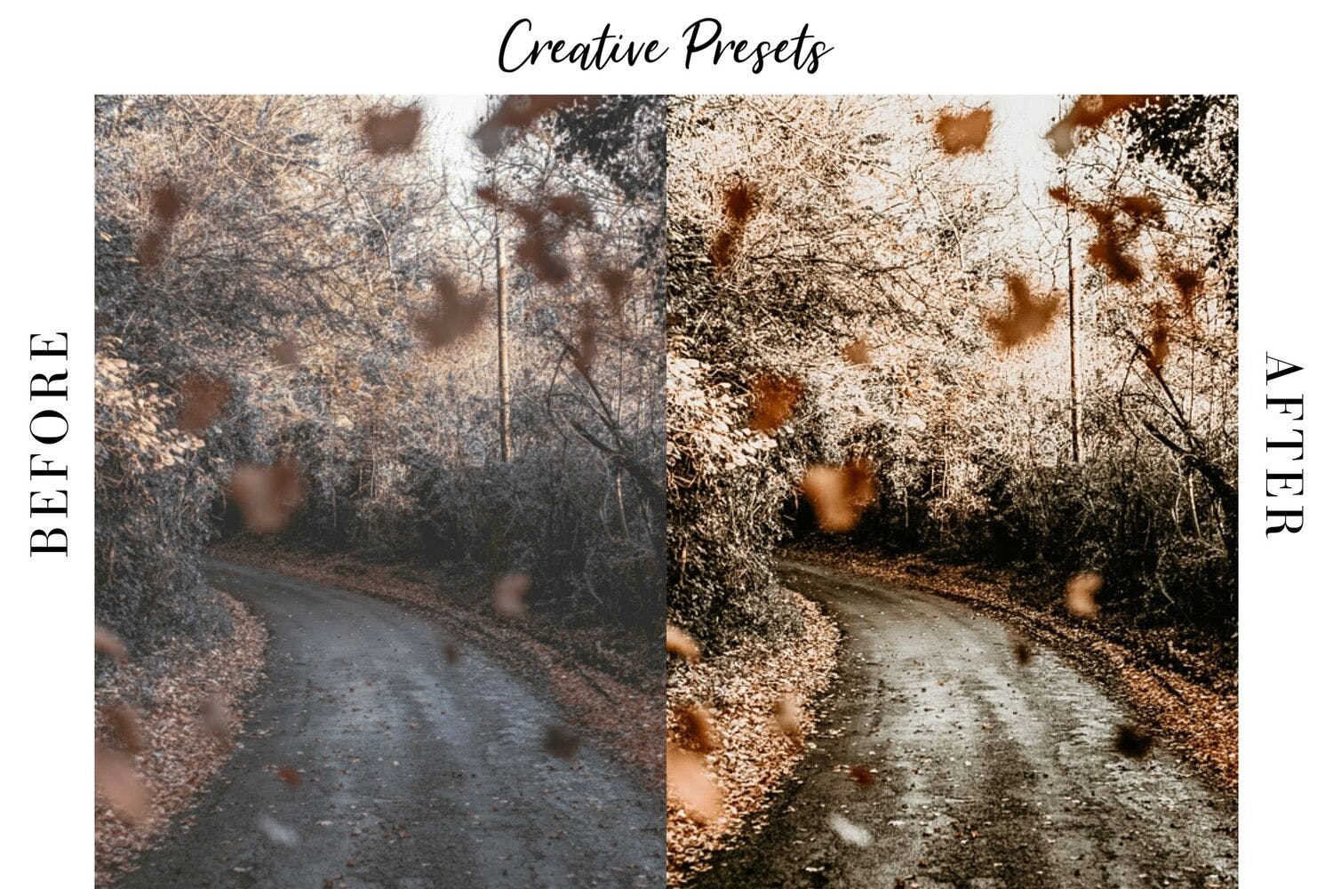 秋季摄影照片调色滤镜素材库精选LR预设 Autumn Lightroom Mobile Presets插图(2)