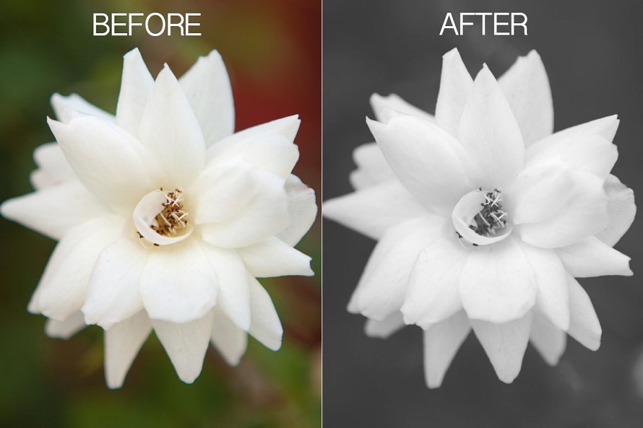 电影胶片效果滤镜PS动作 Filmtastic Photoshop Film Actions插图(4)