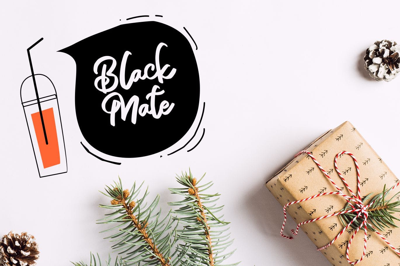 笔刷书法风格英文手写字体 Alya | Brush Style Font插图(4)