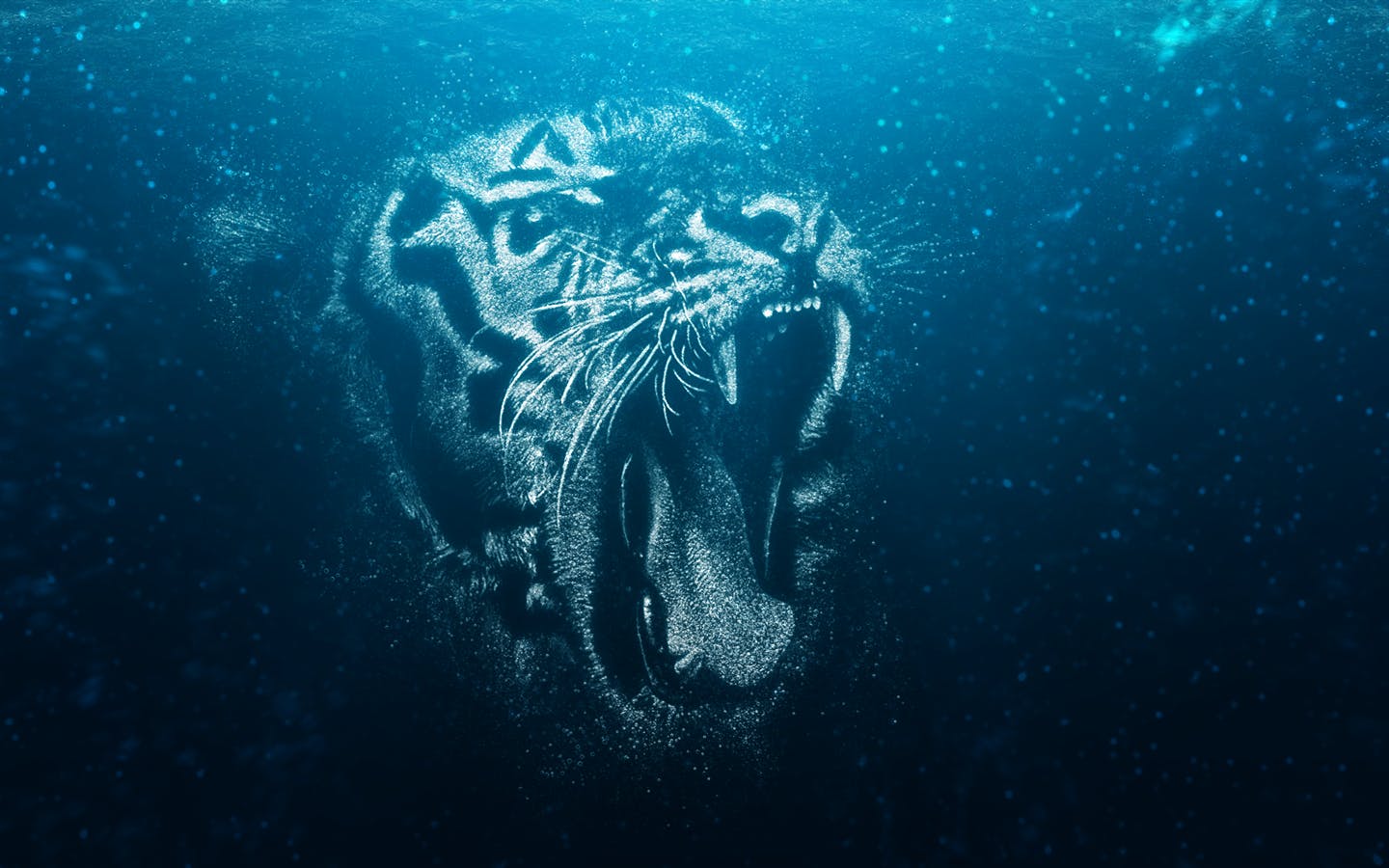 创意水下气泡画艺术效果一键生成PS动作 Bubbles CS4+ Photoshop Action插图(2)