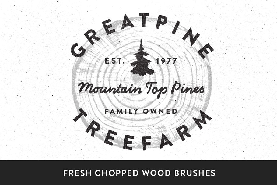 做旧木纹纹理PSD动作合集 The Woodsman-PSD Actions插图(2)