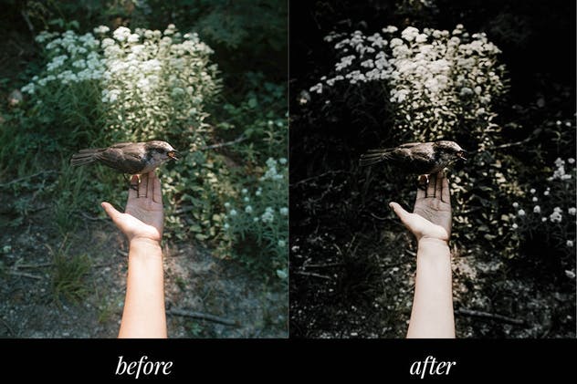 去饱和调色照片效果处理LR预设 Bleached Lightroom Mobile Presets插图(3)