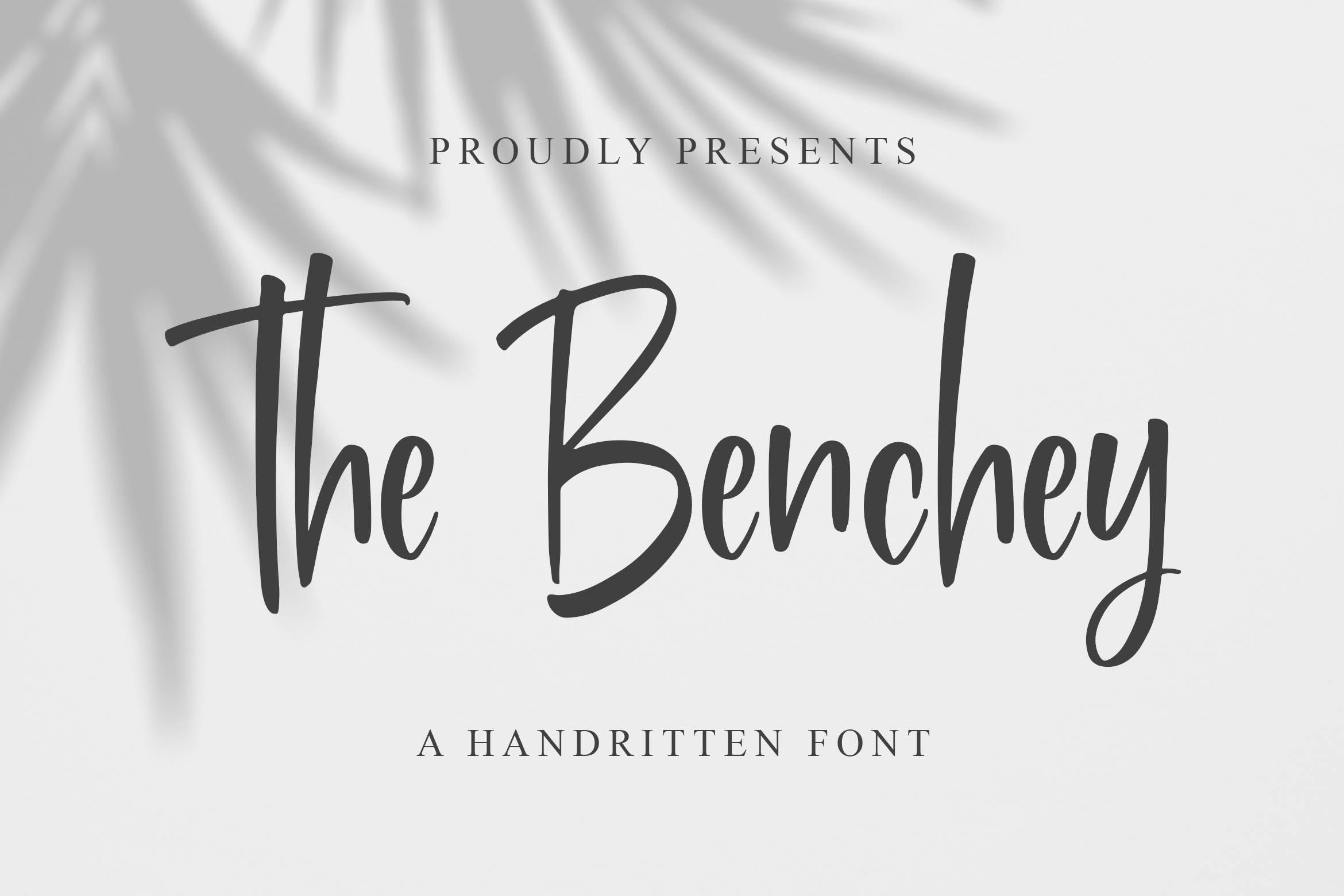 现代书法风格英文手写字体素材库精选 Benchey – Handwritten Font插图