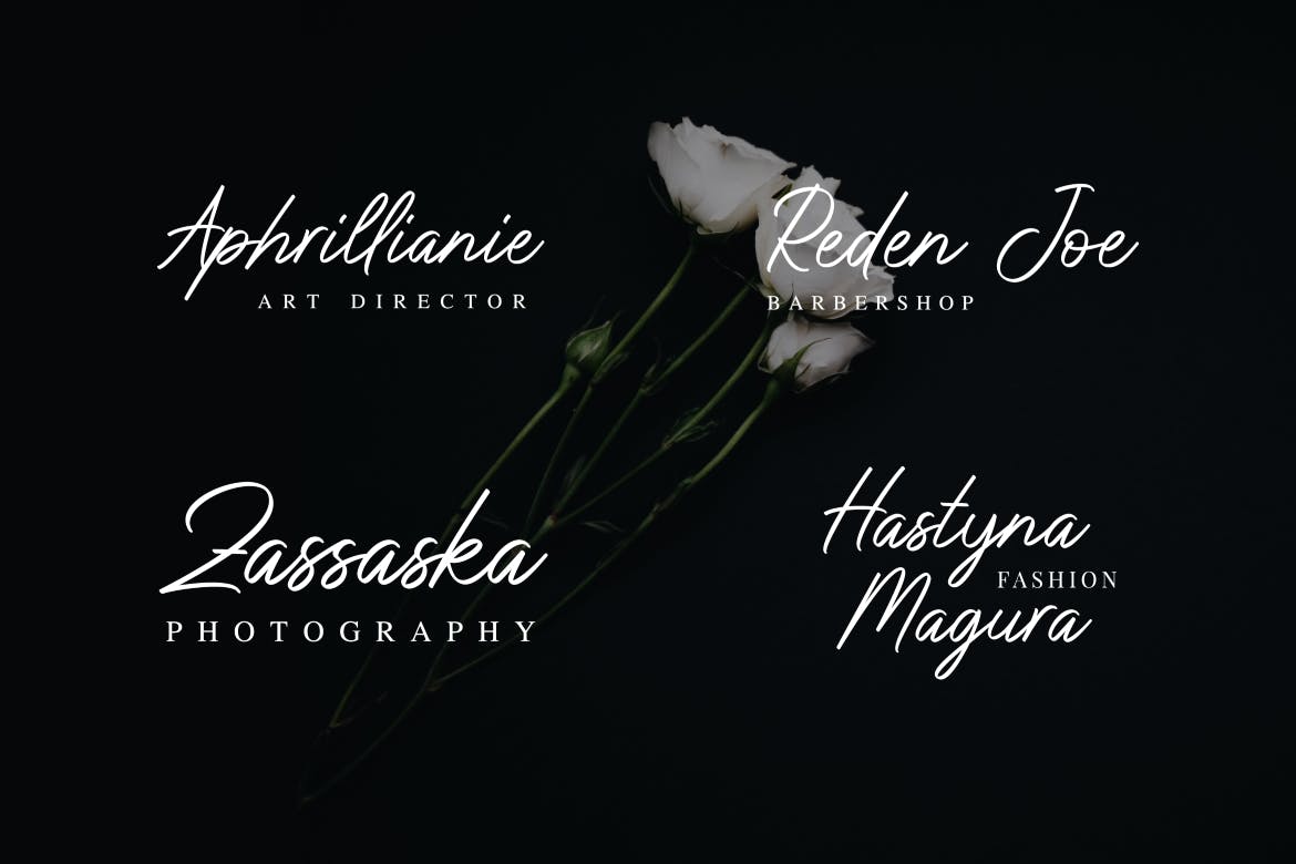 优雅钢笔签名书法字体下载 Don Carlitto – Elegant Signature Font插图(1)