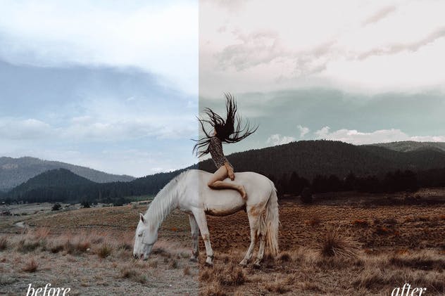 咖啡色调风格照片效果处理LR预设 Moody Lightroom Mobile Preset插图(2)