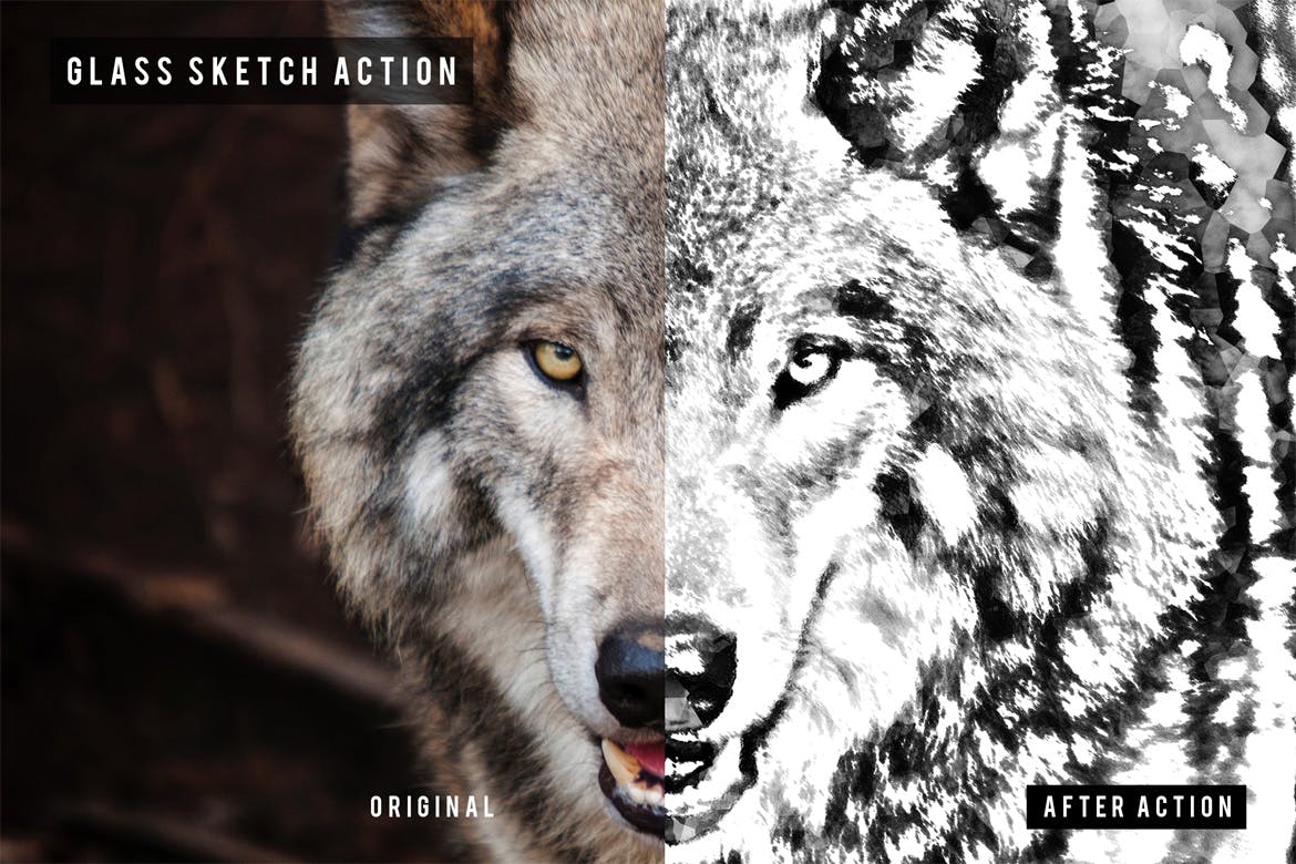 毛玻璃素描效果PS艺术照片动作 Glass Sketch Action插图(1)