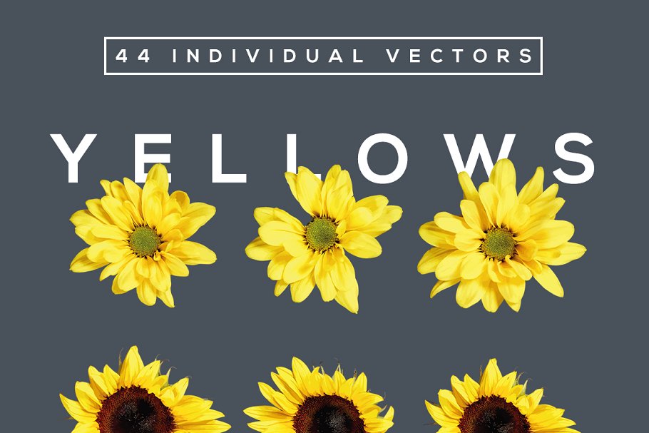 美丽花卉布局排版AI图层样式 FlowerType for Illustrator插图(3)