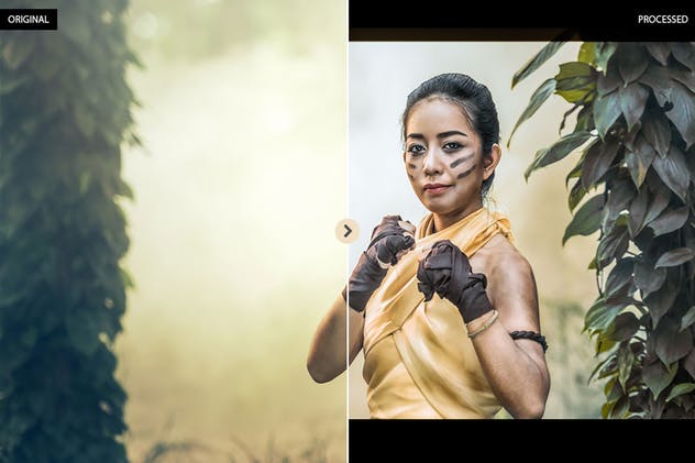 10款电影胶片滤镜照片后期处理LR预设 10 Film Look Cinematic Lightroom Presets插图(6)