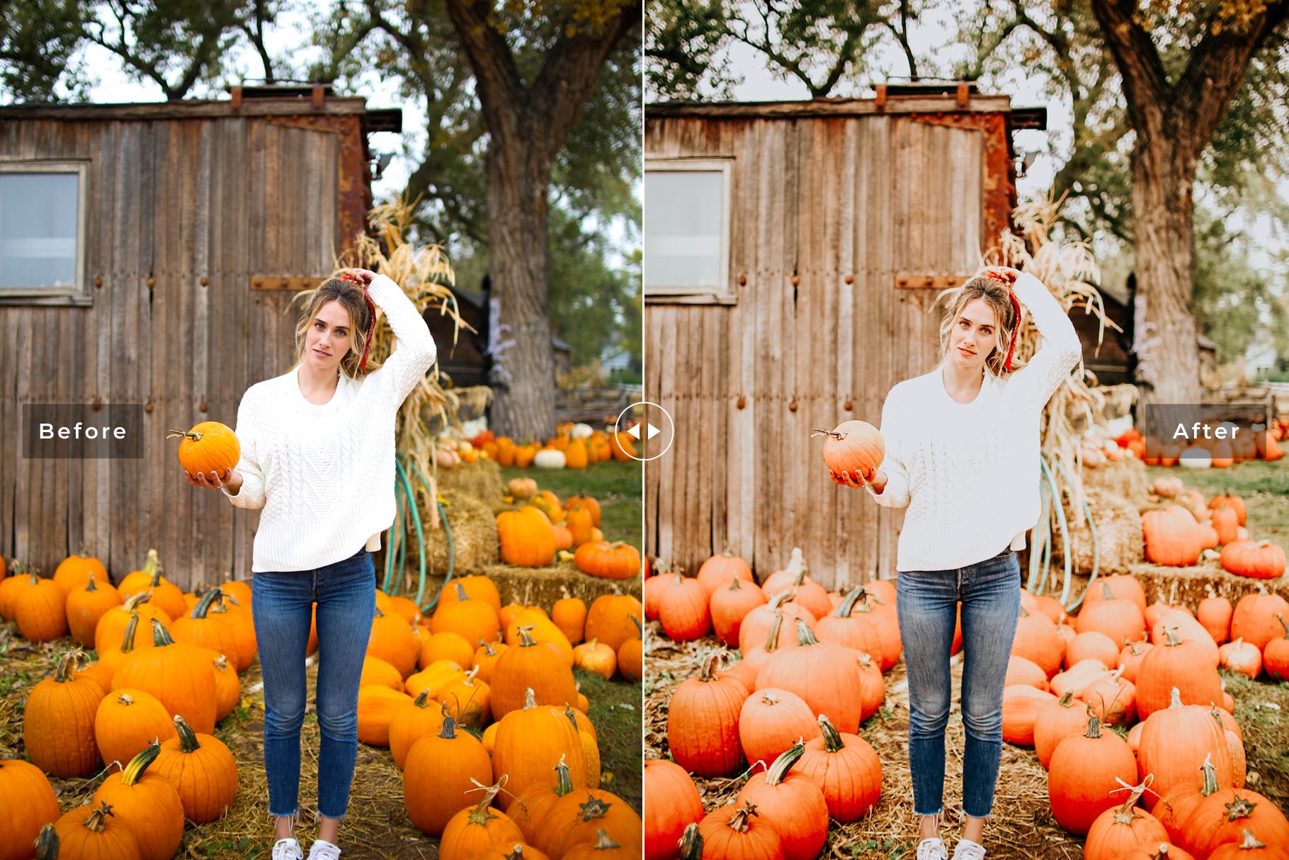 舒适暖色系照片后期处理效果LR预设下载 Pumpkin Mobile & Desktop Lightroom Presets插图(5)