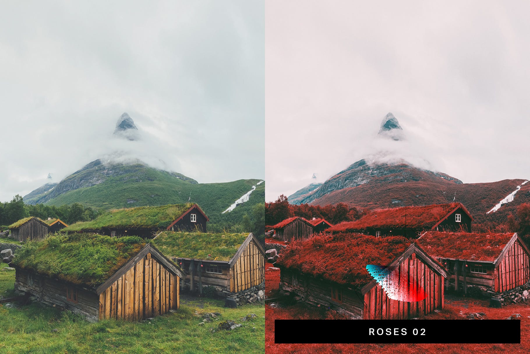 50款仿数字红外照相机&模拟红外胶片效果Lightroom调色预设 50 Infrared Vibe Lightroom Presets and LUTs插图(4)