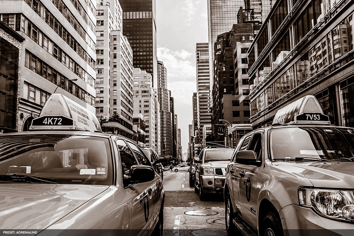 20款摄影大师级别黑白色调风格生成PS预设v2 Monochromatic Vol. 2 – 20 Photoshop Presets插图(5)