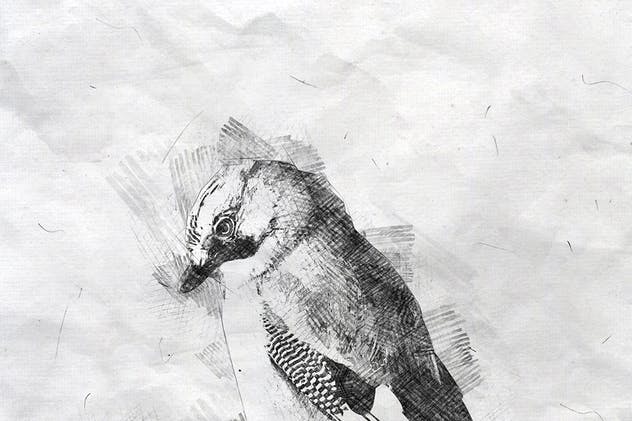 铅笔素描效果一键生成PS动作 Pencil Sketch Photoshop Action插图(12)