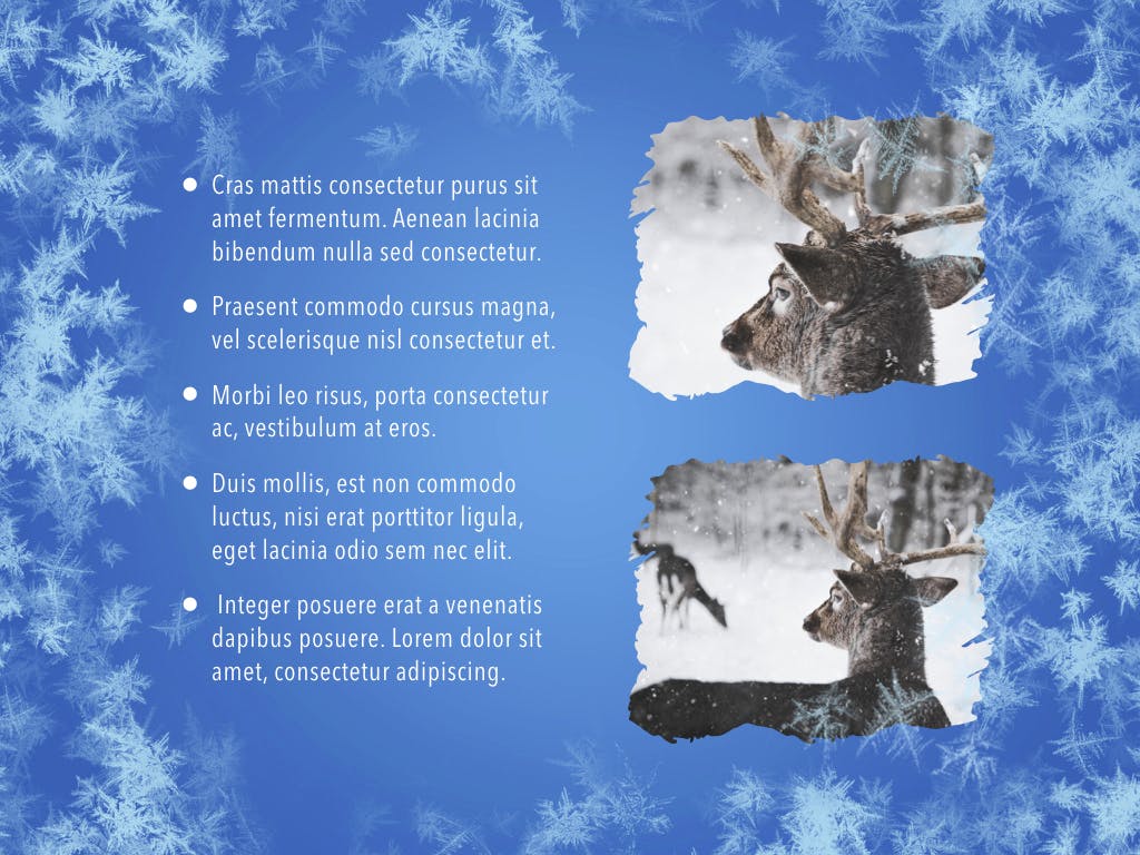 冬天雪花背景素材库精选Keynote模板下载 Hello Winter Keynote Template插图(10)