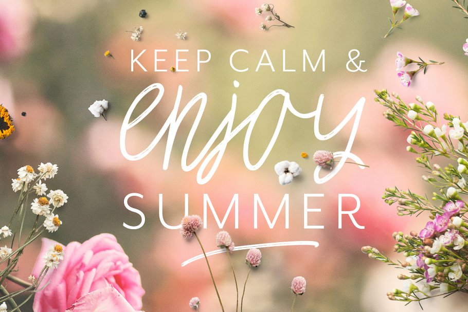 豪迈流畅钢笔英文书法字体下载 Joy Flight Script Font插图(5)