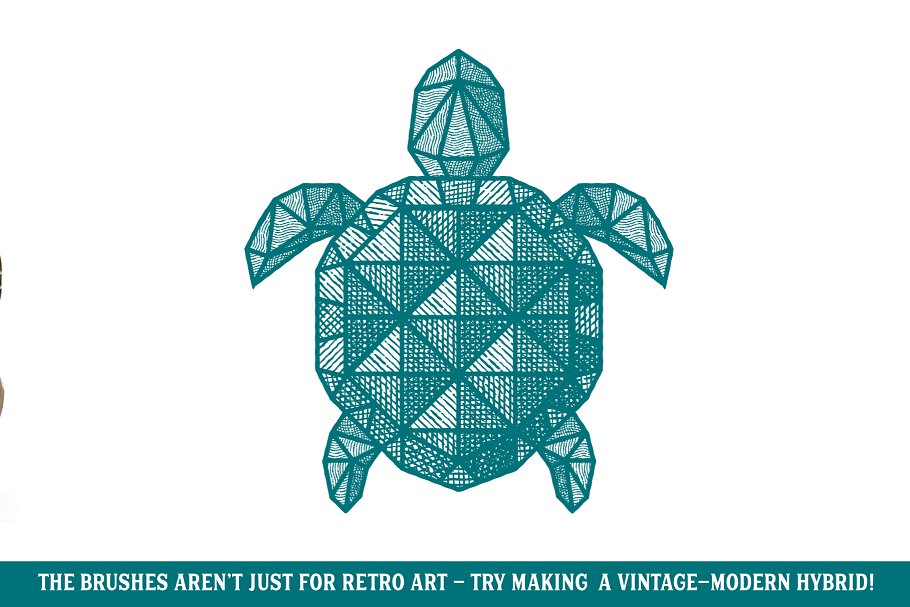 复古线条纹理AI笔刷 Finest Vintage – Illustrator Brushes插图(7)