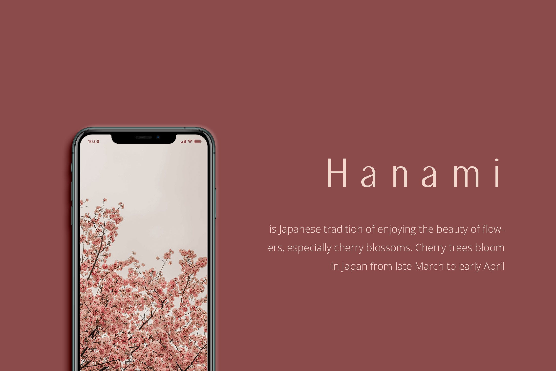 现代优雅风格英文无衬线字体 Amaryllis Sans插图(6)