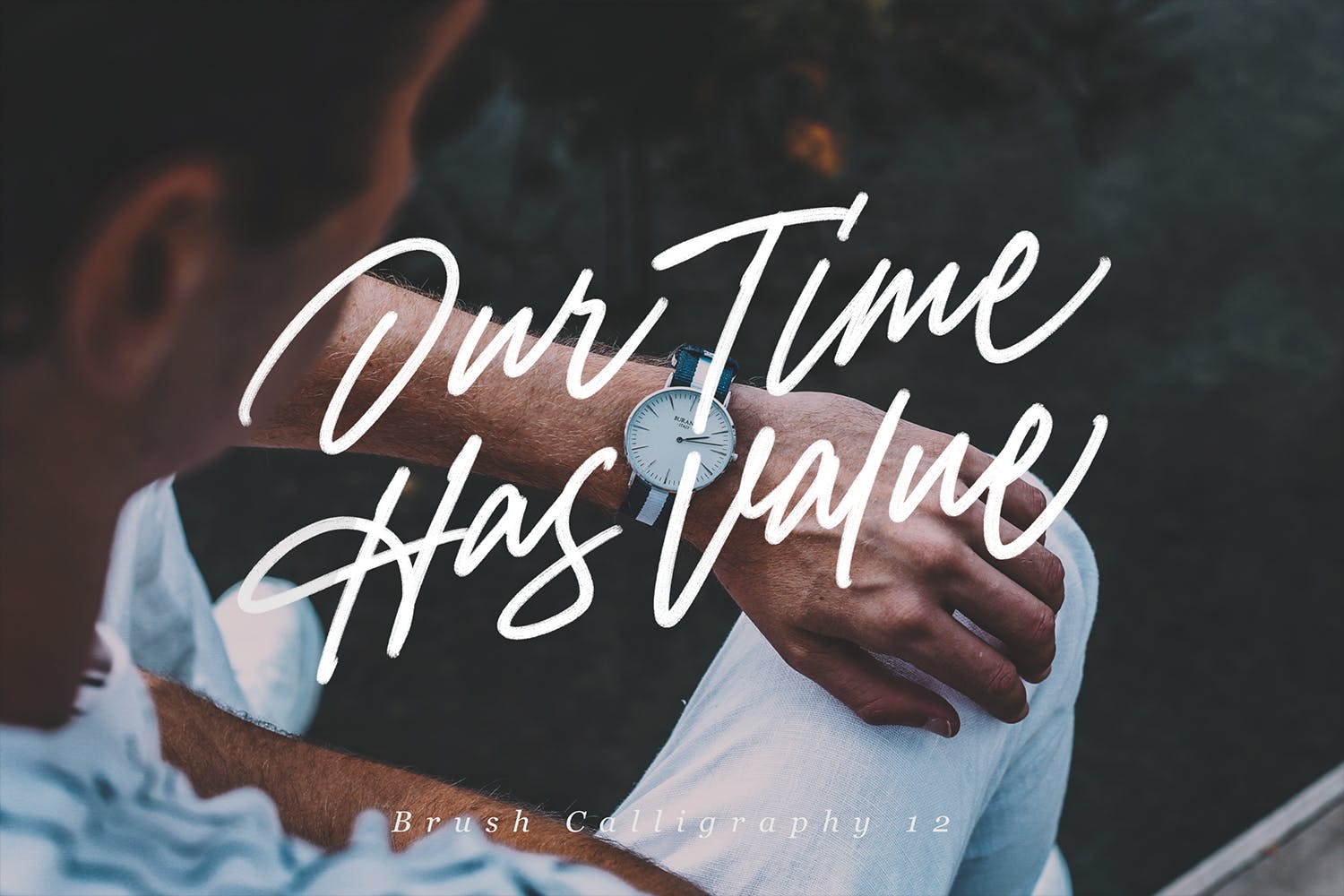 Procreate应用艺术书法字体笔刷合集插图(11)