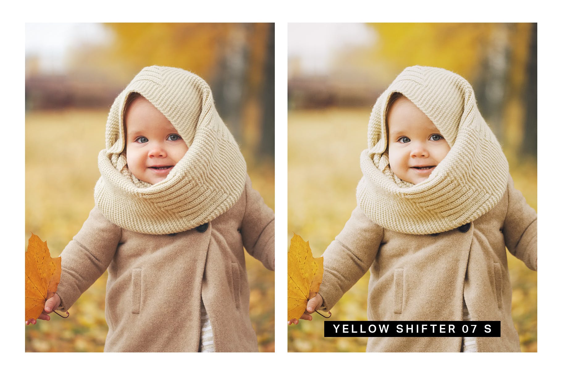 30款秋天主题摄影颜色增强LR预设下载 30 Autumn Enhancer Lightroom Presets and LUTs插图(3)