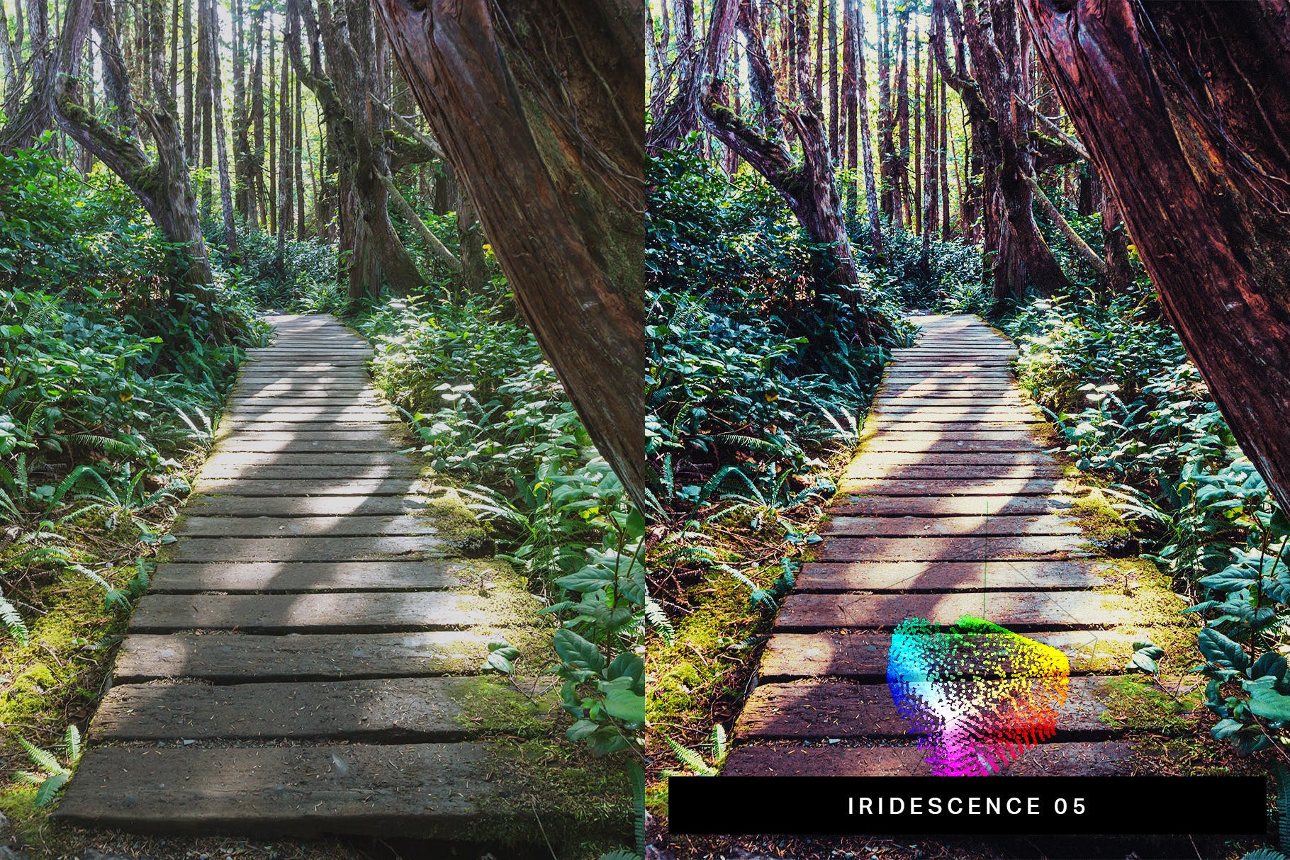 50个徒步风景摄影效果处理LR预设合集 50 Hiking Lightroom Presets and LUTs插图(3)