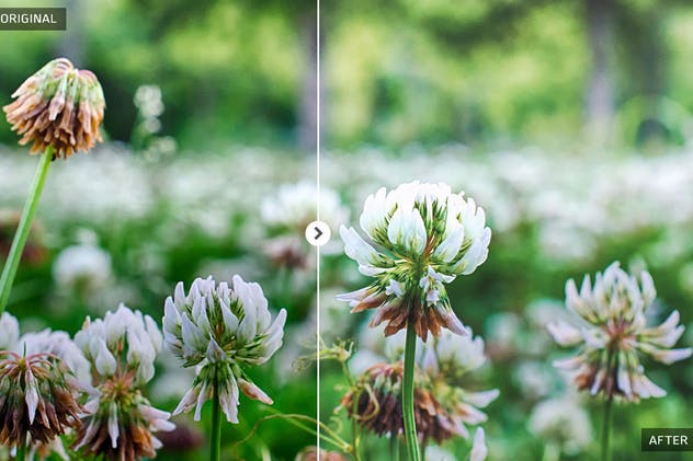 春季风景人像照片后期处理LR调色滤镜 Spring Lightroom Presets插图(4)