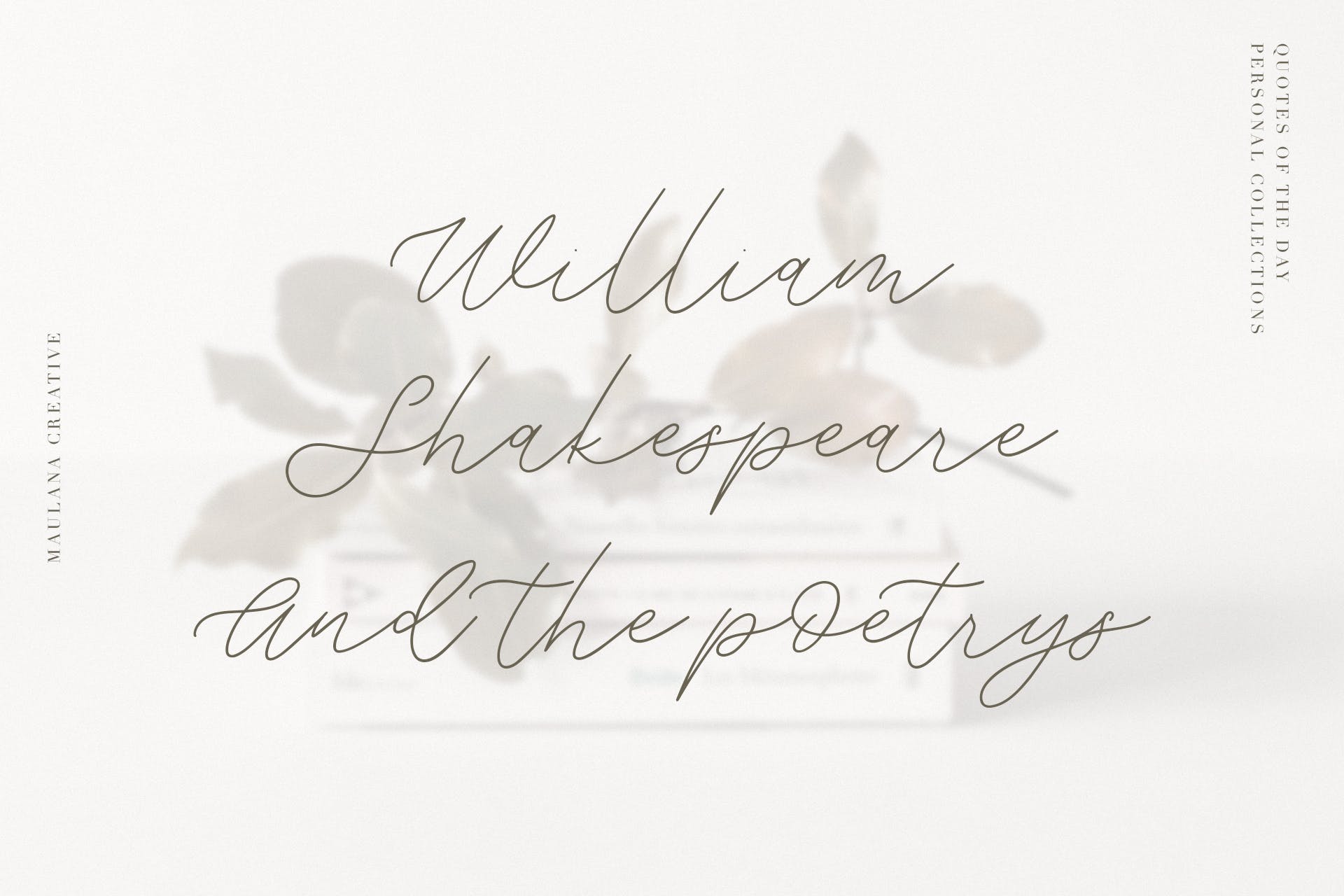 飘逸连笔钢笔书法字体下载 Weisston – Script Font插图(5)