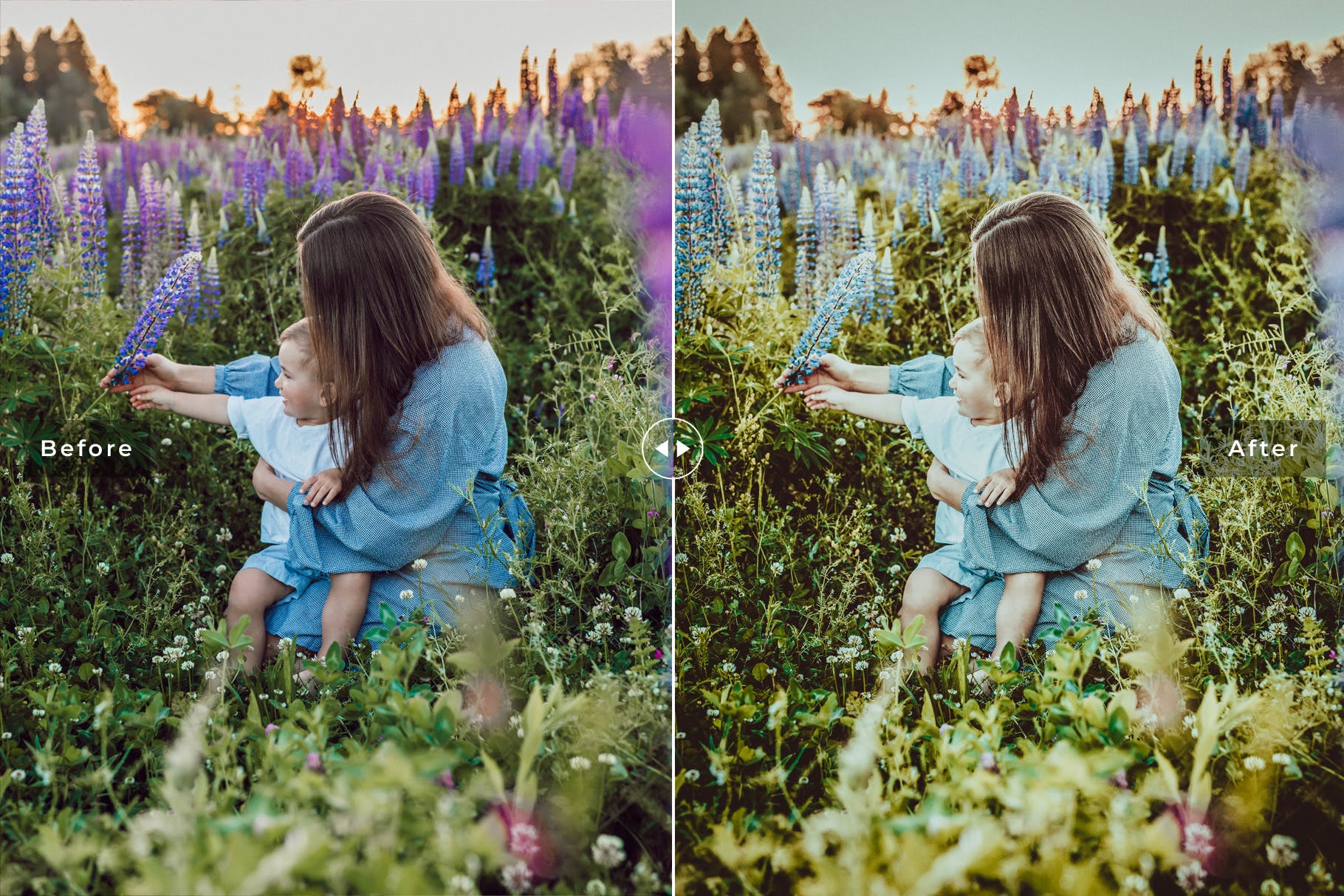全家福家庭生活照片调色滤镜素材库精选LR预设 Family Professional Lightroom Presets插图(3)