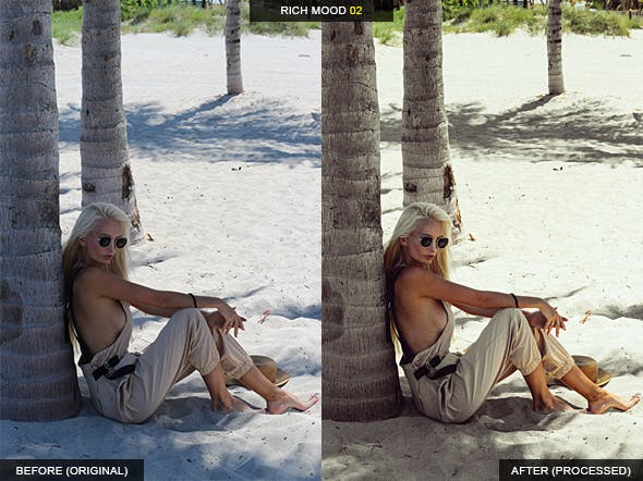 12款RICH时尚模特摄影LR调色预设 12 Rich Mood Lightroom Presets插图(2)