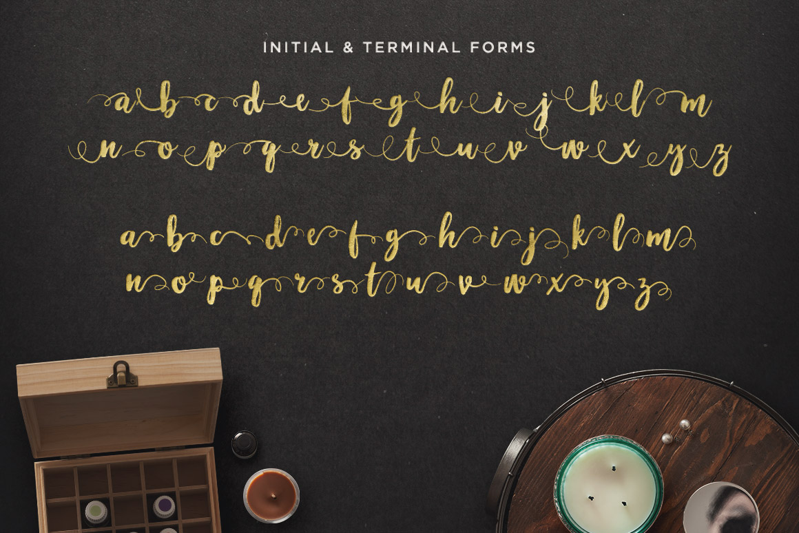 手写英文字体 Maloishe Brush Script Font（含网页字体）插图(2)