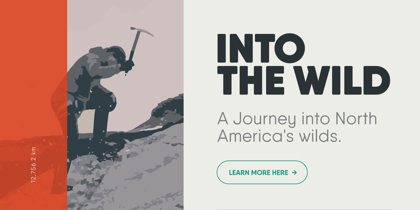 手写英文字体包下载 20 Whopping Fonts插图(74)