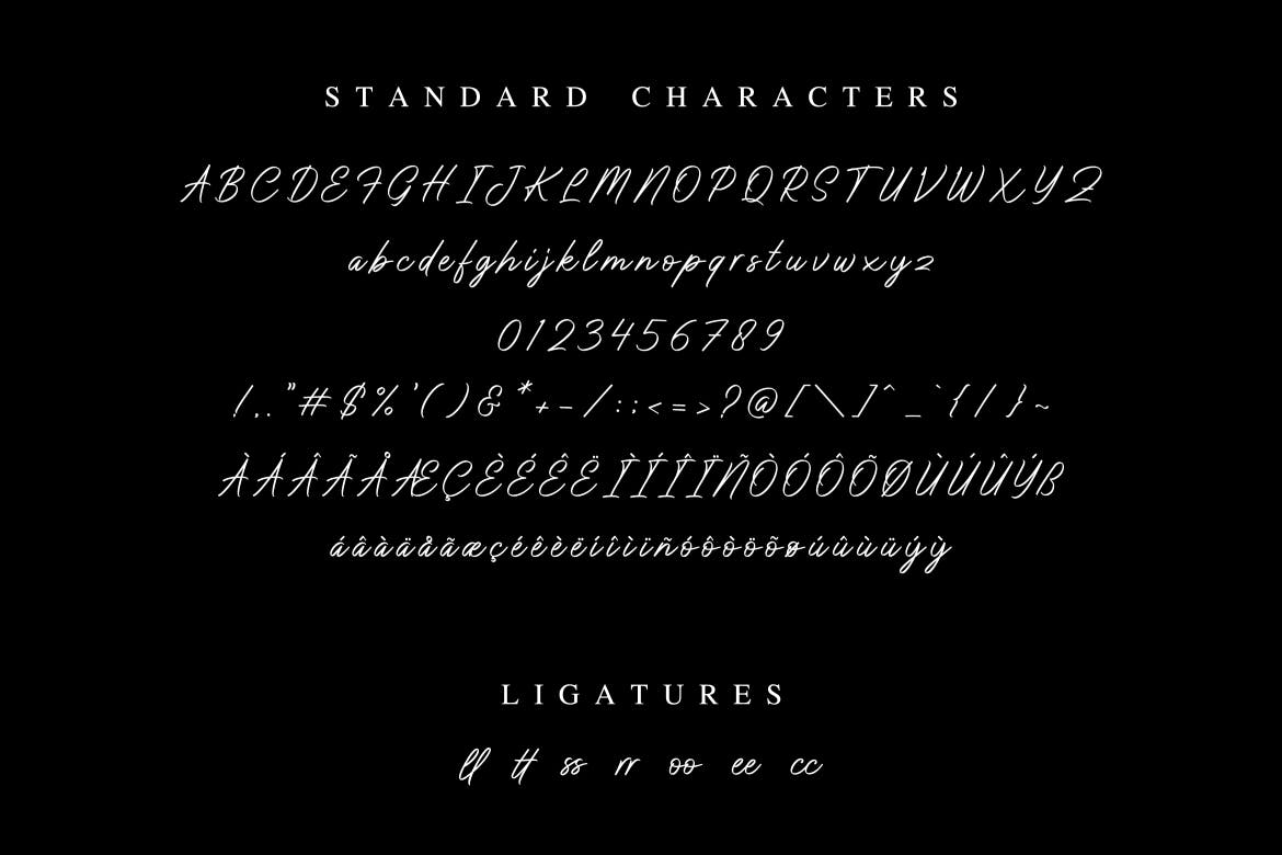 优雅钢笔签名书法字体下载 Don Carlitto – Elegant Signature Font插图(4)