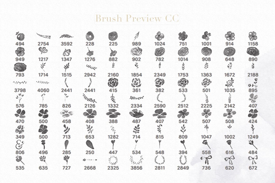 浅灰暗色调花卉元素Photoshop笔刷 Floral Watercolor Photoshop Brushes插图(7)