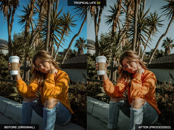 12款热带生活摄影LR调色滤镜预设 12 Tropical Life Lightroom Presets插图(2)