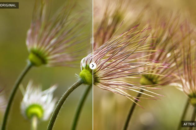 春季风景人像照片后期处理LR调色滤镜 Spring Lightroom Presets插图(7)