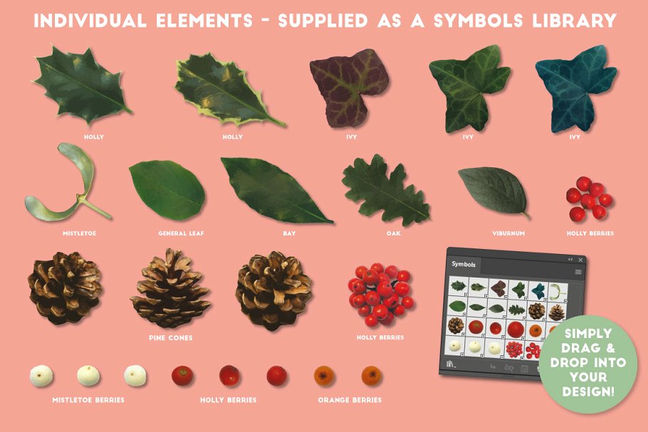 圣诞节矢量花卉AI笔刷 The Vector Florist – Brushes: Winter插图(9)