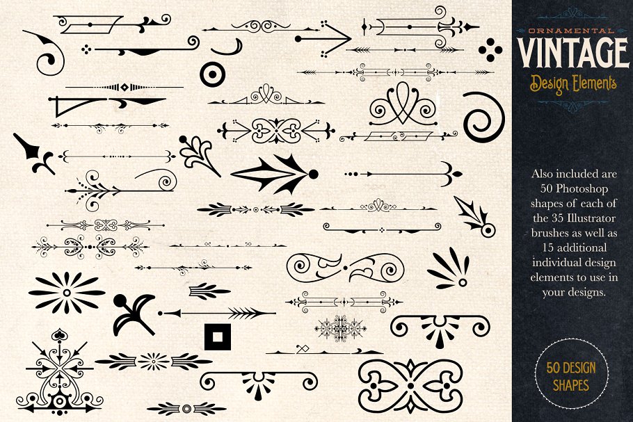 复古装饰元素AI笔刷+PS图形 Ornamental Vintage Design Elements插图(4)