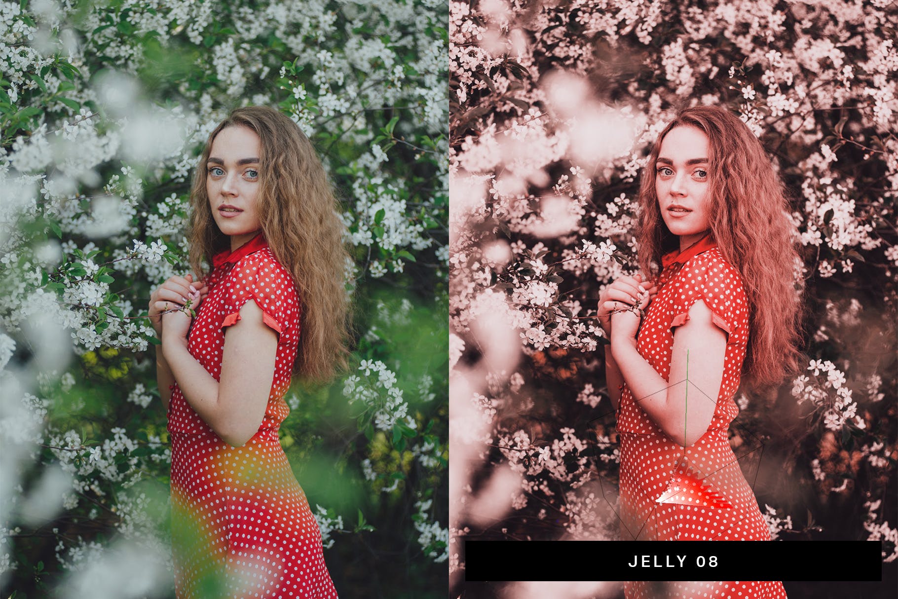 50款草莓色系照片调色滤镜素材库精选LR预设 50 Strawberry Lightroom Presets and LUTs插图(2)