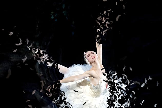 羽毛飘舞类化蝶特效PS动作 Feathers Photoshop Action插图(3)