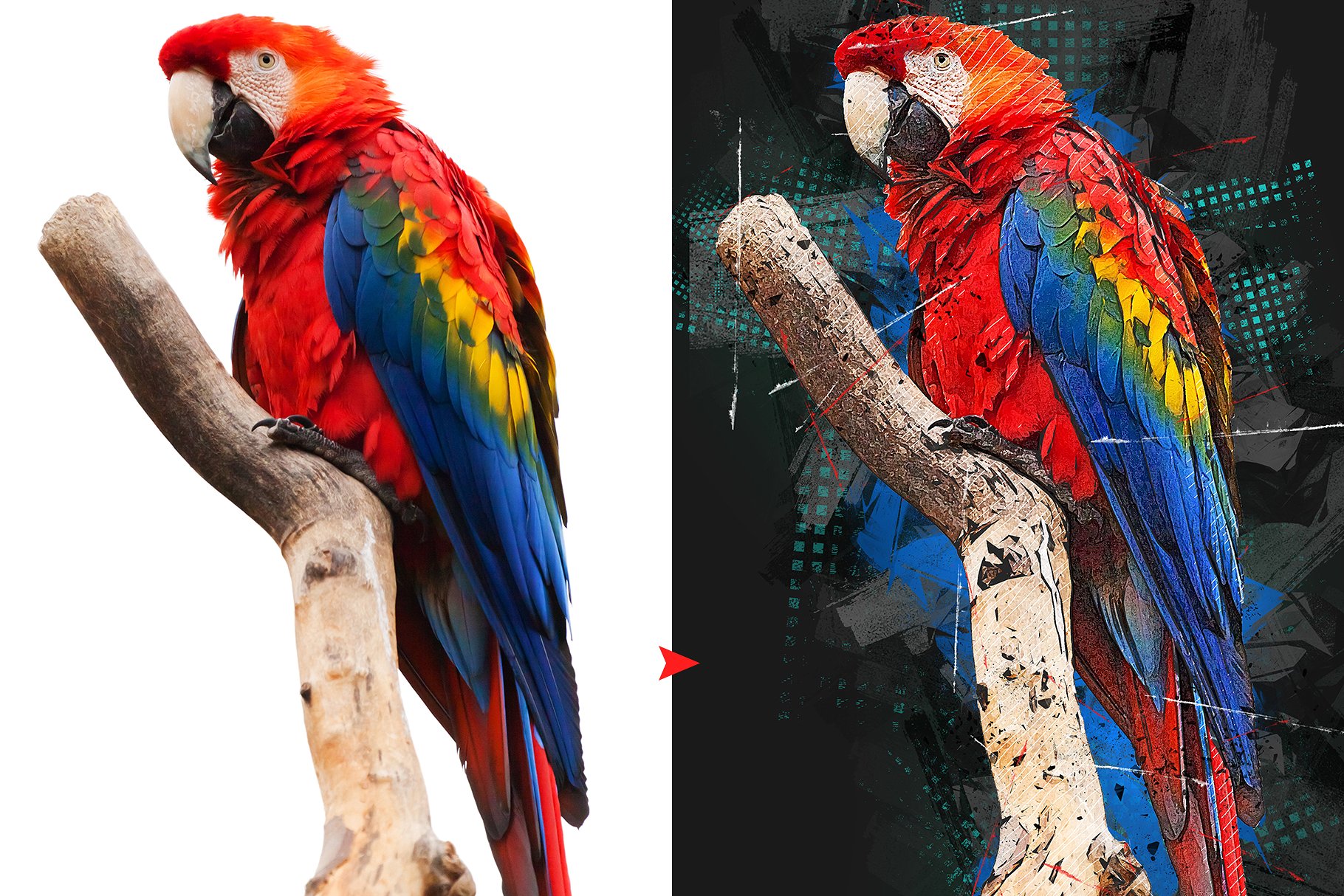 抽象艺术效果的PS动作下载 Abstract Art Photoshop Action [atn]插图(5)