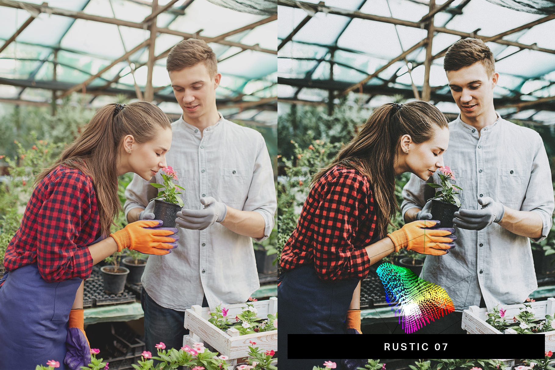 50款花园摄影/食物摄影后期调色处理Lightroom预设 50 Bountiful Garden Lightroom Presets and LUTs插图(5)