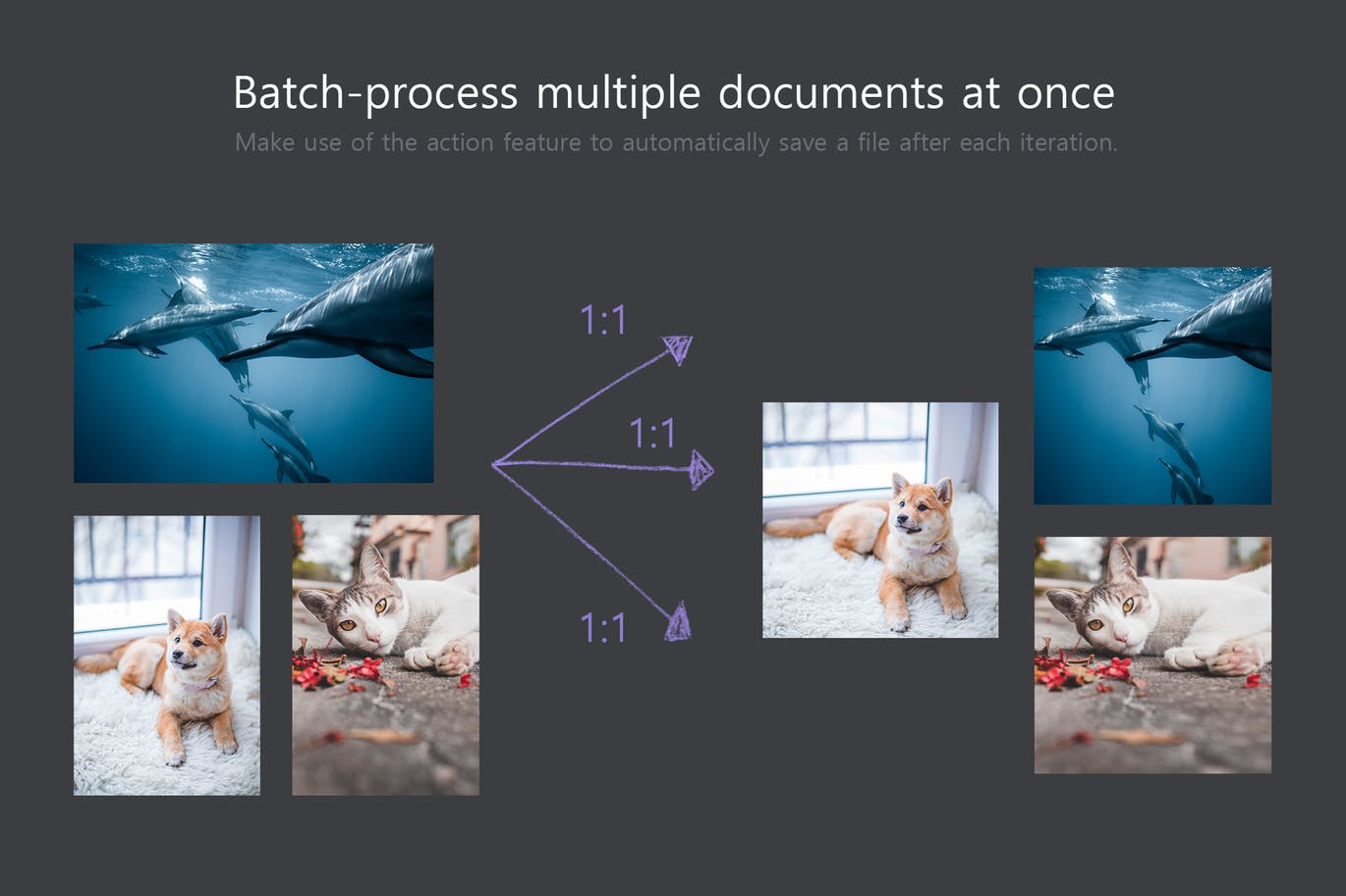 PS图像像素比&格式快速切换工具 Ratio Switch – Format Change Kit插图(4)