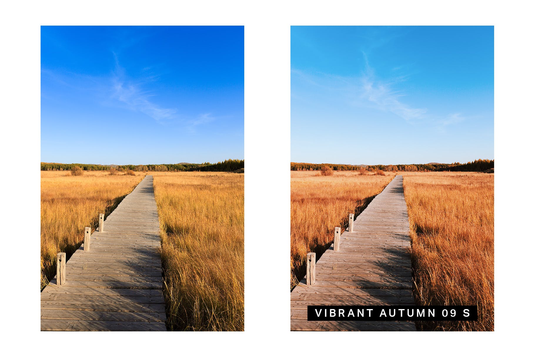 30款秋天主题摄影颜色增强LR预设下载 30 Autumn Enhancer Lightroom Presets and LUTs插图(6)